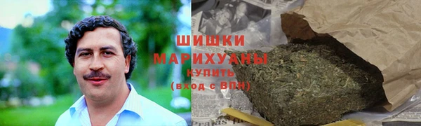 PSILOCYBIN Богородицк
