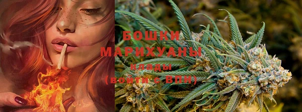 PSILOCYBIN Богородицк