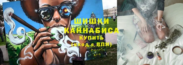 индика Волоколамск