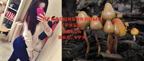 PSILOCYBIN Богородицк