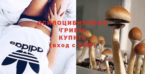 PSILOCYBIN Богородицк