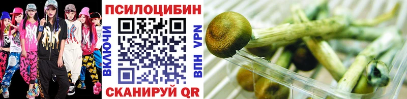 Псилоцибиновые грибы GOLDEN TEACHER  Купить  Лениногорск 